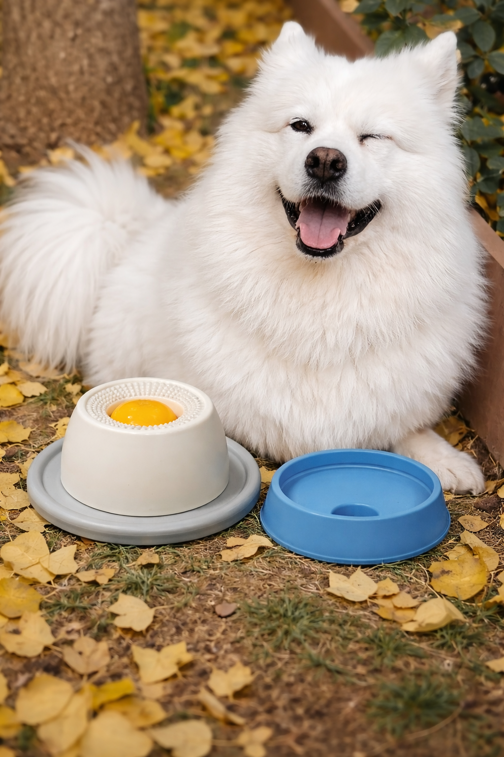 Interactive Pet Lick Toy - Self-Soothing Snack Bowl
