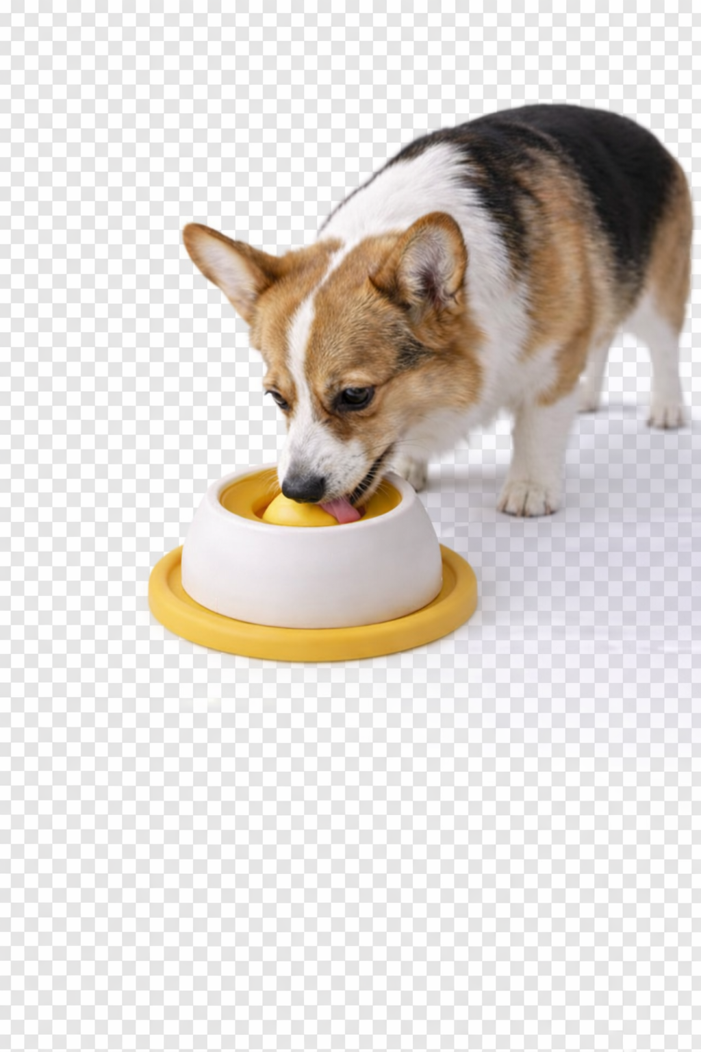 Interactive Pet Lick Toy - Self-Soothing Snack Bowl