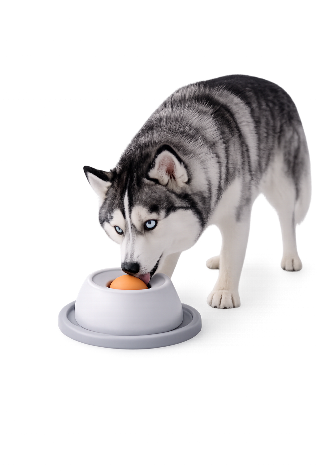 Interactive Pet Lick Toy - Self-Soothing Snack Bowl